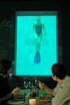 Nemo 33