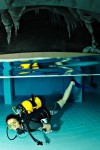 Nemo 33