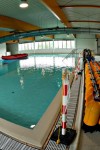 Nemo 33