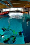 Nemo 33