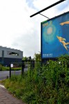 Nemo 33