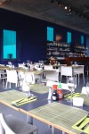 Nemo 33