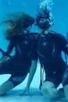 Nemo 33