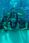 Nemo 33