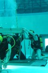 Nemo 33