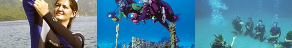 OPEN WATER DIVER