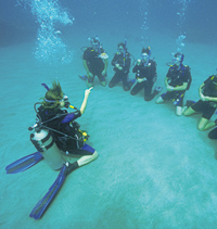 Classe de Open Water Diver