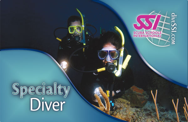 Brevet de plongée SPECIALTY DIVER Brevet de plongée SPECIALTY DIVER